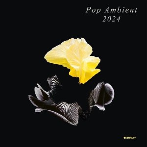 VARIOUS - POP/AMBIENT 2024