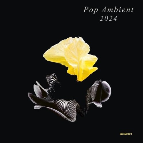 Pop Ambient 2024.jpg