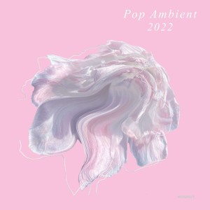 VARIOUS - POP/AMBIENT 2022