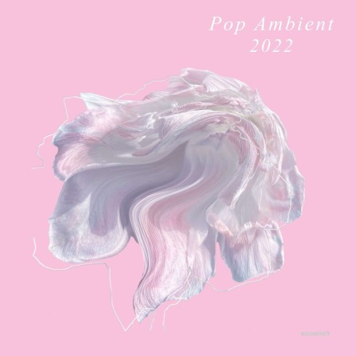 Pop Ambient 2022.jpg