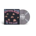 Grateful Dead_In The Dark (Limited Edition) (Silver Vinyl).jpg