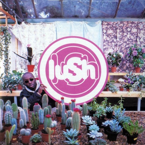 Lush_Lovelife.jpg