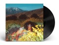 Brittany Howard_What Now_lp.jpg