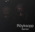 royksopp_senior.jpg