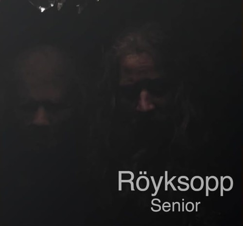 royksopp_senior.jpg
