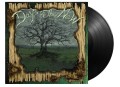 Days Of The New_Days Of The New (II) (The Green Album) (180g)_lp.jpg
