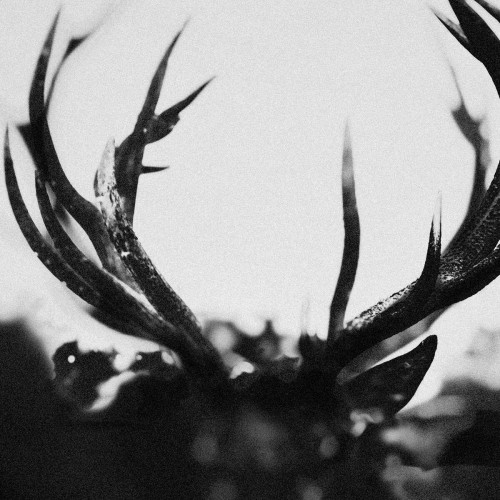 Ihsahn_Ihsahn.jpg