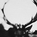 Ihsahn_Ihsahn (Orchestral Version).jpg