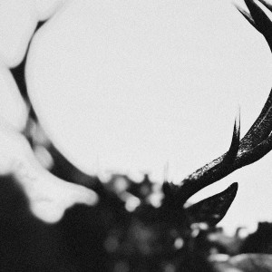 IHSAHN - IHSAHN ORCHESTRAL VERSION