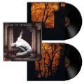 Xymox (Clan Of Xymox)_Breaking Point_2lp.jpg