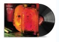 Alice In Chains_ Jar Of Flies (30th Anniversary Edition)_lp.jpg