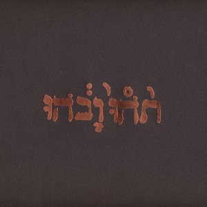 GODSPEED YOU BLACK EMPEROR - SLOW RIOT FOR NEW ZERO