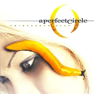 PERFECT CIRCLE, A - THIRTEENTH STEP
