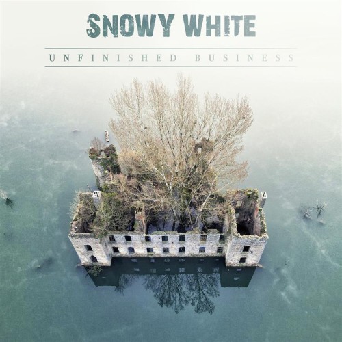 pol_pl_White-Snowy-Unfinished-Business-LP-BLACK-75408_1.jpg