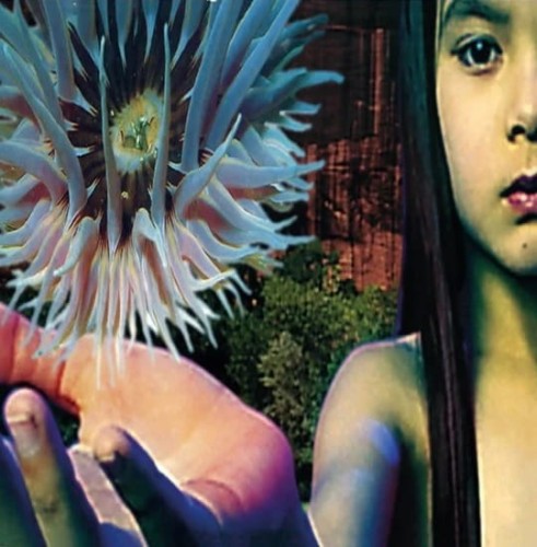 The Future Sound Of London_Lifeforms (Limited Edition) (Green Vinyl).jpg