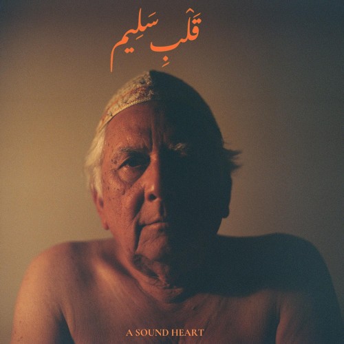 Jaubi - A Sound Heart.jpg