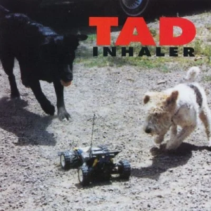 TAD - INHALER (MAGENTA VINYL)