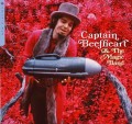 captain beefheart & the magic band.jpg