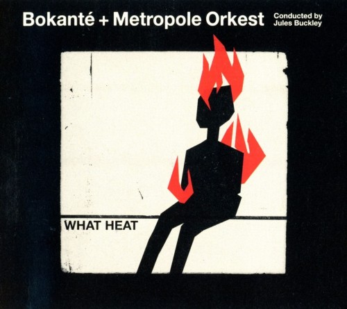 Bokanté + Metropole Orkest_What Heat.jpg