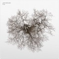 John Metcalfe_Tree.jpg