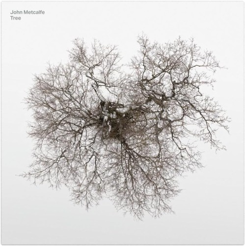 John Metcalfe_Tree.jpg