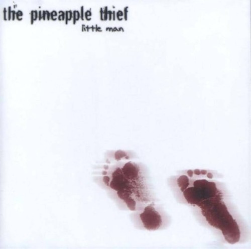 pol_pl_Pineapple-Thief-The-Little-Man-LP-76527_1.jpg