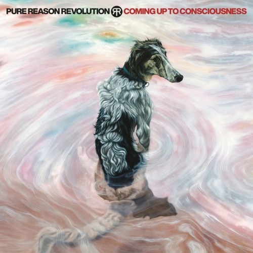 Pure Reason Revolution_Coming Up To Consciousness.jpg
