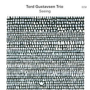 GUSTAVSEN, TORD - SEEING