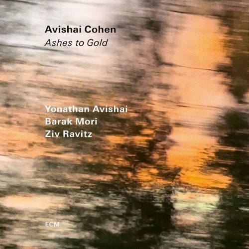 Avishai Cohen (Trumpet)_Ashes To Gold.jpg