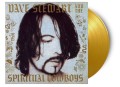 Dave Stewart and the Spiritual Cowboys_Dave Stewart And The Spiritual Cowboys (180g) (Limited Numbered Edition) (Gold Vinyl).jpg