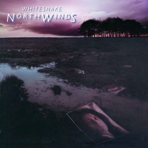 Whitesnake_Northwinds (2024 Remix) (Black Ice Vinyl).jpg