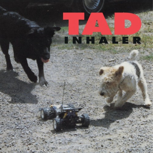 Tad_Inhaler (180g).jpg