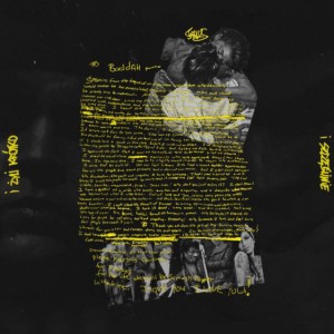 SARIUS - I ŻYLI KRÓTKO I SZCZĘŚLIWIE