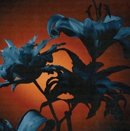 TIDES FROM NEBULA - INSTANT REWARDS