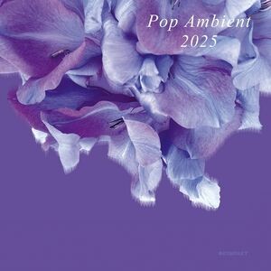 VARIOUS - POP AMBIENT 2025