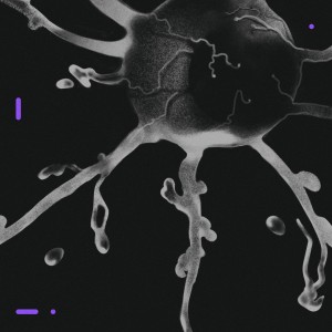 BLED - TERRA INCOGNITA (FIOLETOWY VINYL)