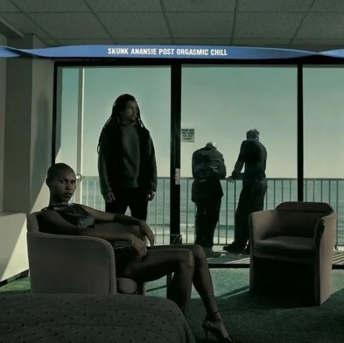 skunk anansie_post orgasmic chill.jpg
