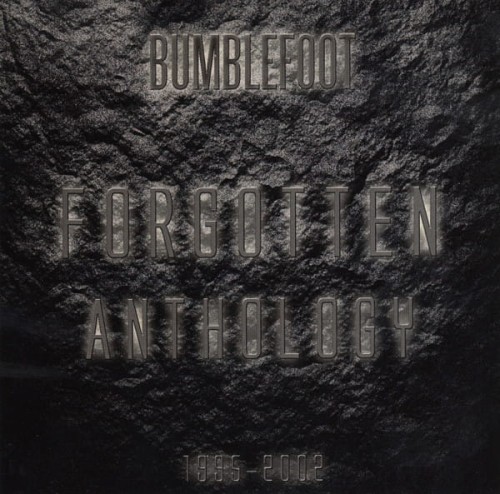 bumblefoot_front.jpg