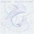 helado negro_phasor.jpg