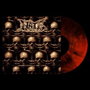 HATE - AWAKENING OF THE LIAR (MARBLED VINYL)