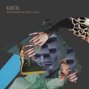 KROL - PRZEWIJANIE NA PODGLADZIE