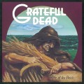 GRATEFUL DEAD - WAKE OF THE FLOOD (50TH ANNIV. PICTURE DISC)