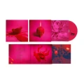 ARCADE FIRE - PINK ELEPHANT