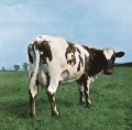 PINK FLOYD - ATOM HEART MOTHER