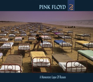 PINK FLOYD - A MOMENTARY LAPSE OF REASON