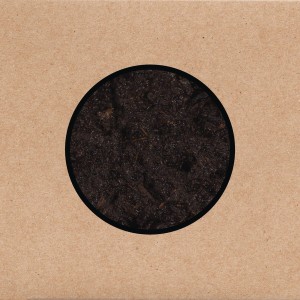 SWANS - BIRTHING
