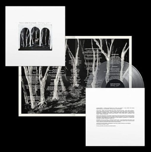 These New Puritans_Crooked Wing_clear_lp.jpg