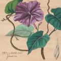 GAY, BEN LAMAR - YOWZERS (PURPLE VINYL) FIOLETOWY WINYL LP