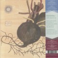GAY, BEN LAMAR - YOWZERS (PURPLE VINYL) FIOLETOWY WINYL LP