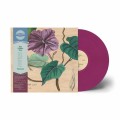 GAY, BEN LAMAR - YOWZERS (PURPLE VINYL) FIOLETOWY WINYL LP